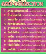 คาราโอเกะ - ลูกกรุง 2 (Sexy Collection) VCD1569-web2